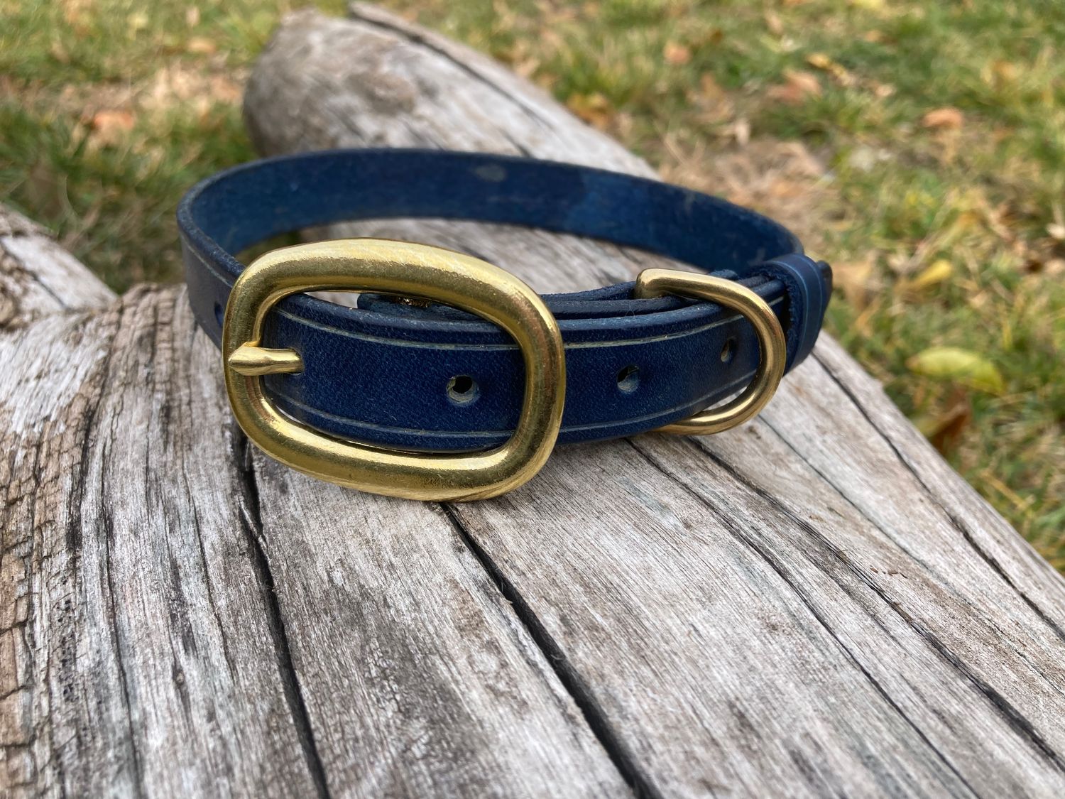 Classic Collar in Royal Blue, 3/4" width, size Medium