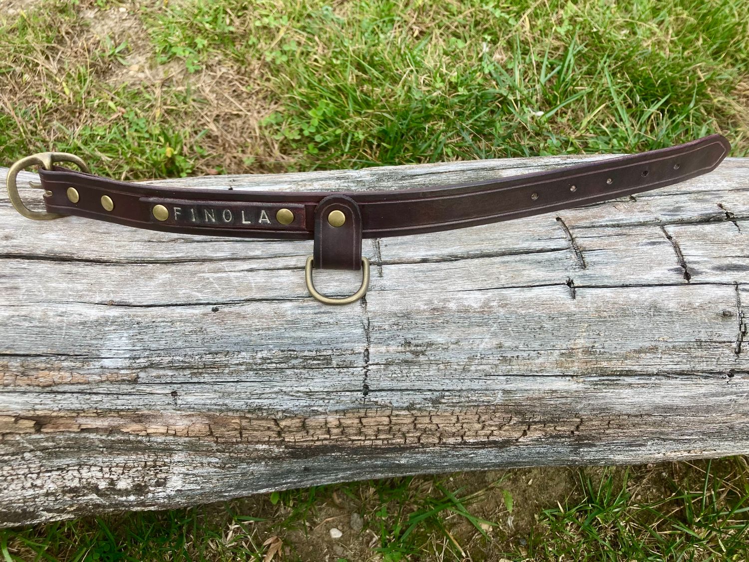 Small Classic Plus Collar in Aubergine, Personalized