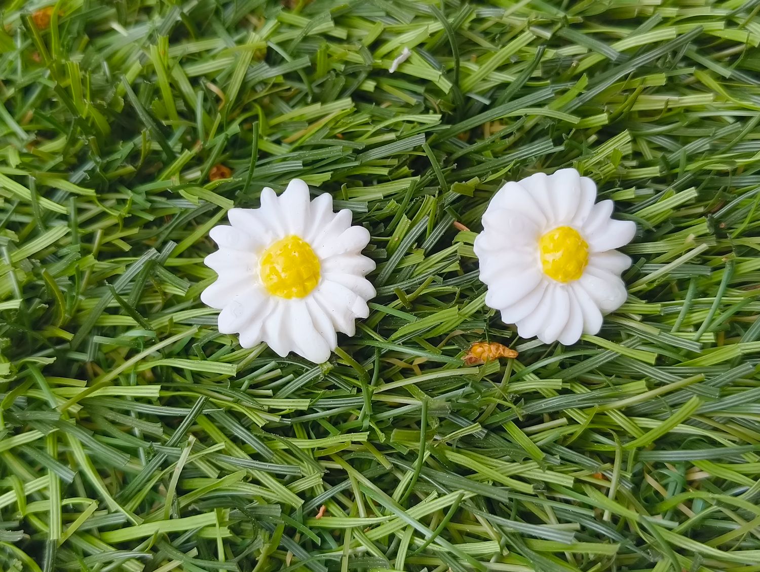 Stokrotka mini