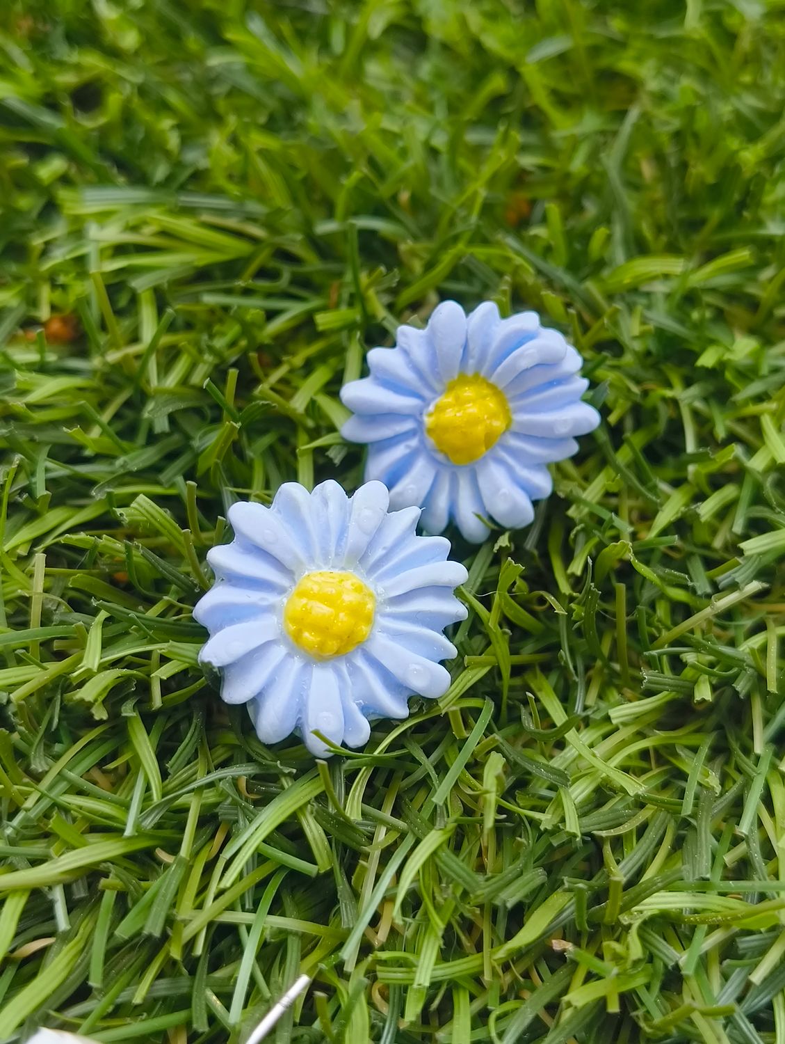 Stokrotka mini
