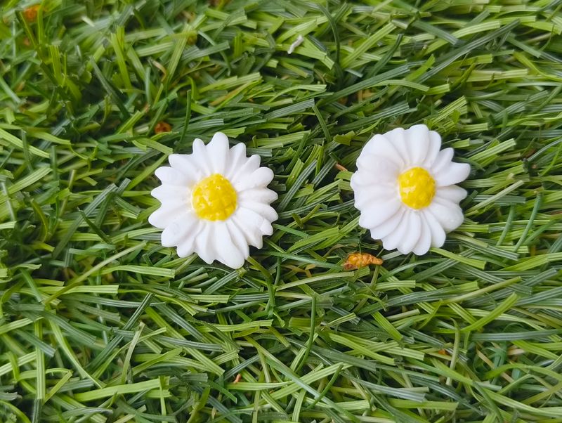 Stokrotka mini