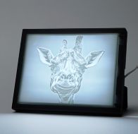 3D-gedrucktes Foto-Lithophane Bild