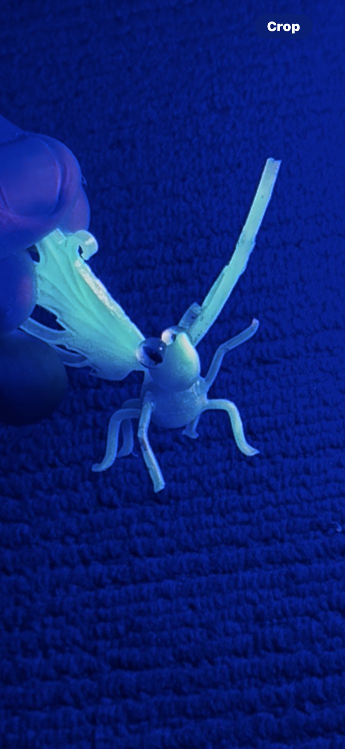 Otis - Glow in the dark Butterfly