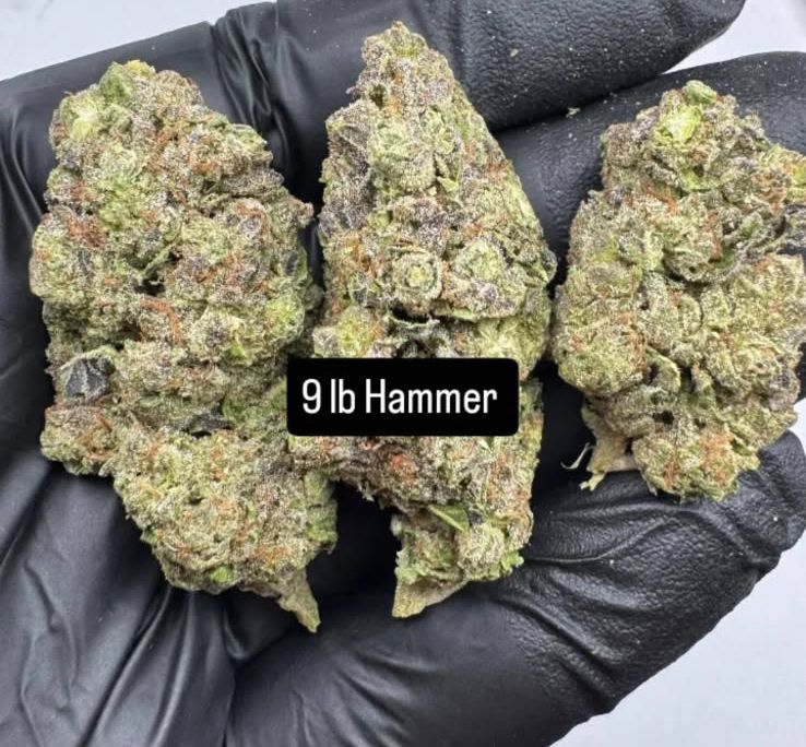 9lb Hammer