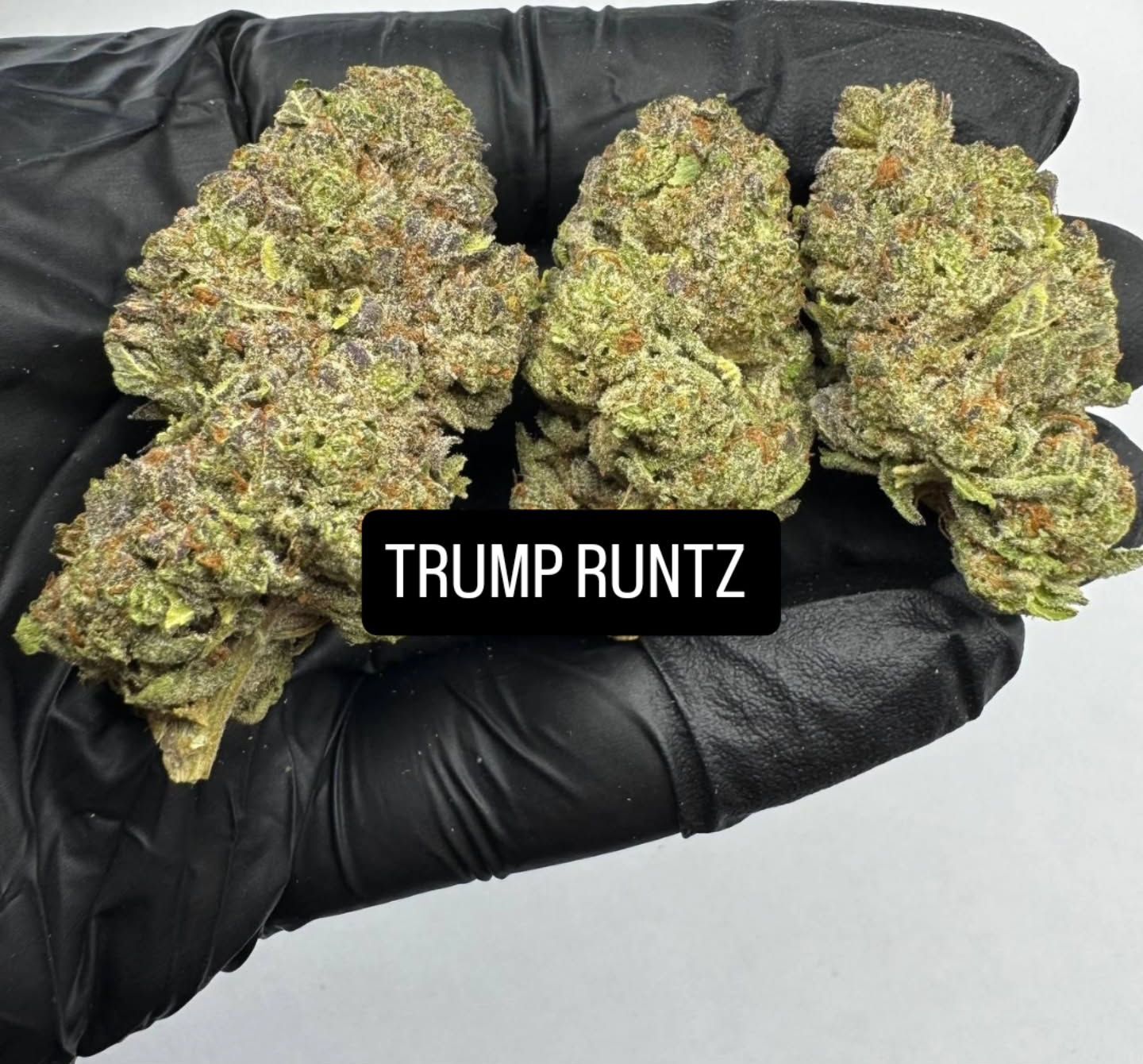 Trump Runtz