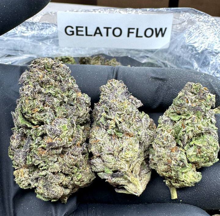 Gelato Flow