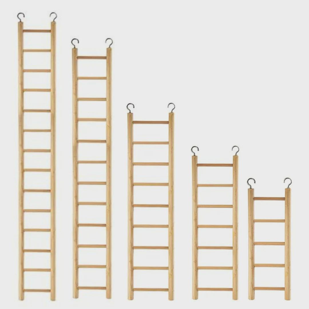Bird Ladder
