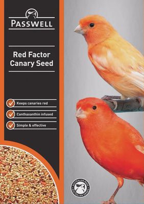 Red Factor Canary Seed