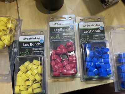 Leg Bands
