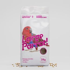 Large Parrot
