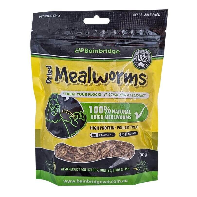 Dried Mealworms
