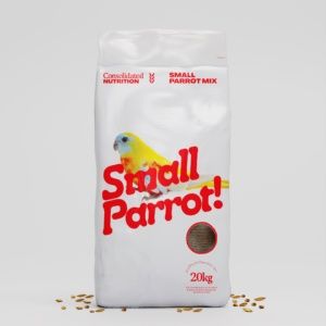 Small Parrot
