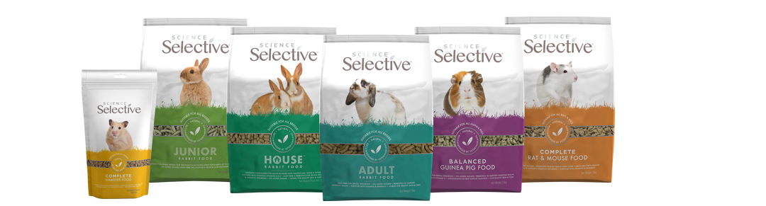 Rabbit Food