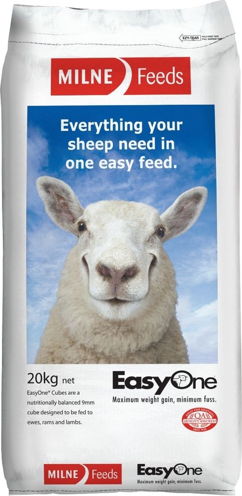 Easy One Sheep Cubes