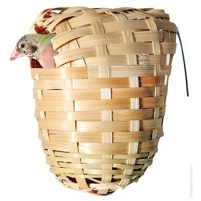 Bird Nest Upright Cane