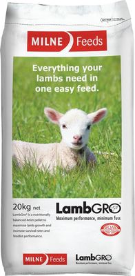 Lamb Grow