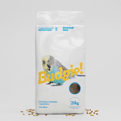 Budgie Mix