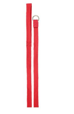 Nylon Web Lead Choker