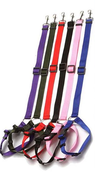 Car Seat Harness
