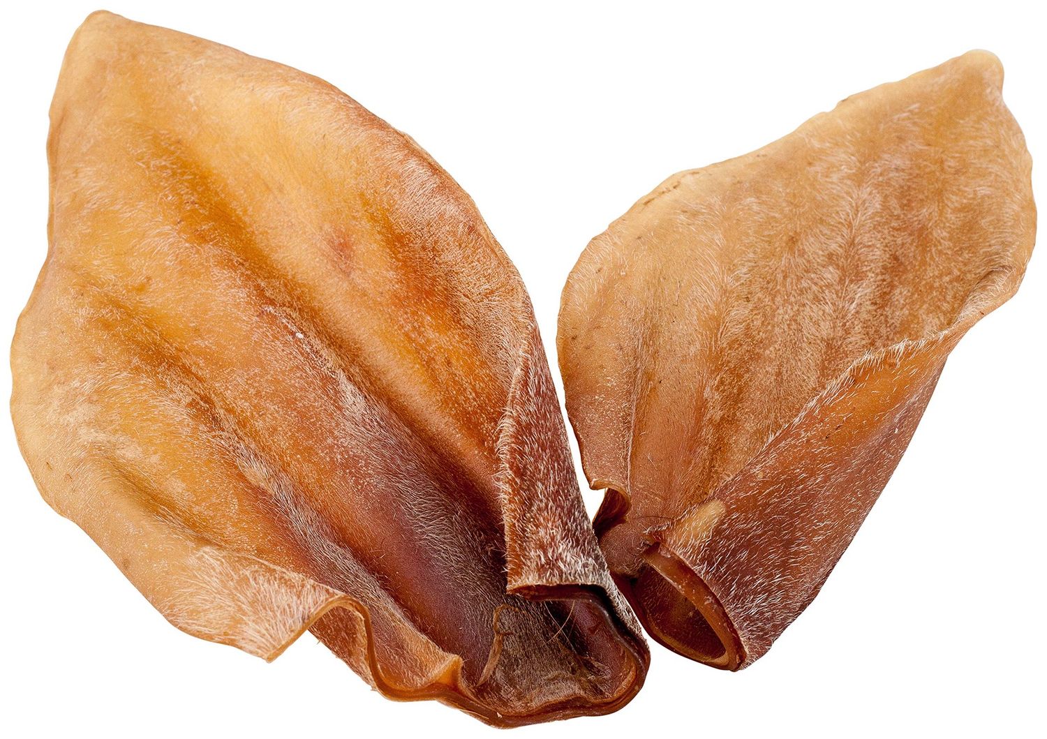 Cow Ears