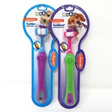Tooth Brush