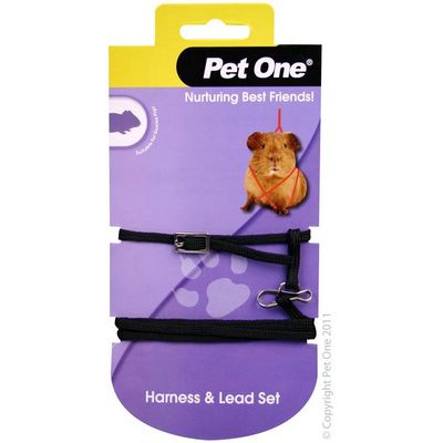 Harness &amp; Lead Set