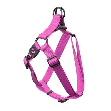 Dog Harness