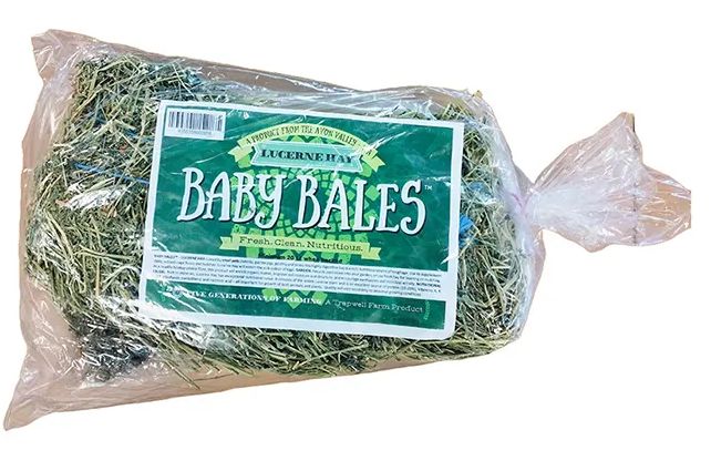 Lucerne Hay