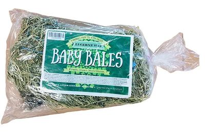 Lucerne Hay
