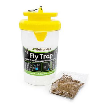 Fly Trap