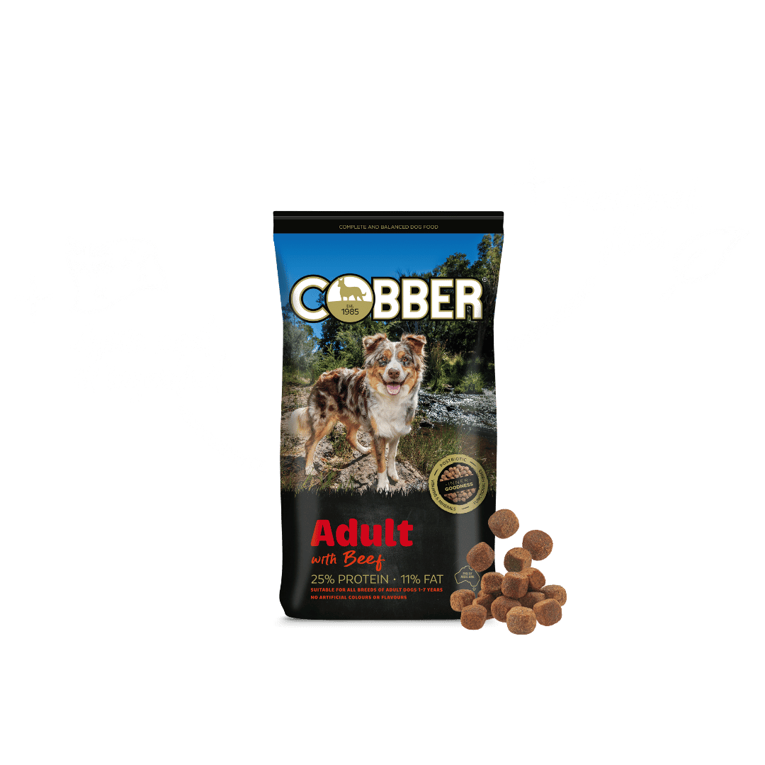 Cobber 3kg