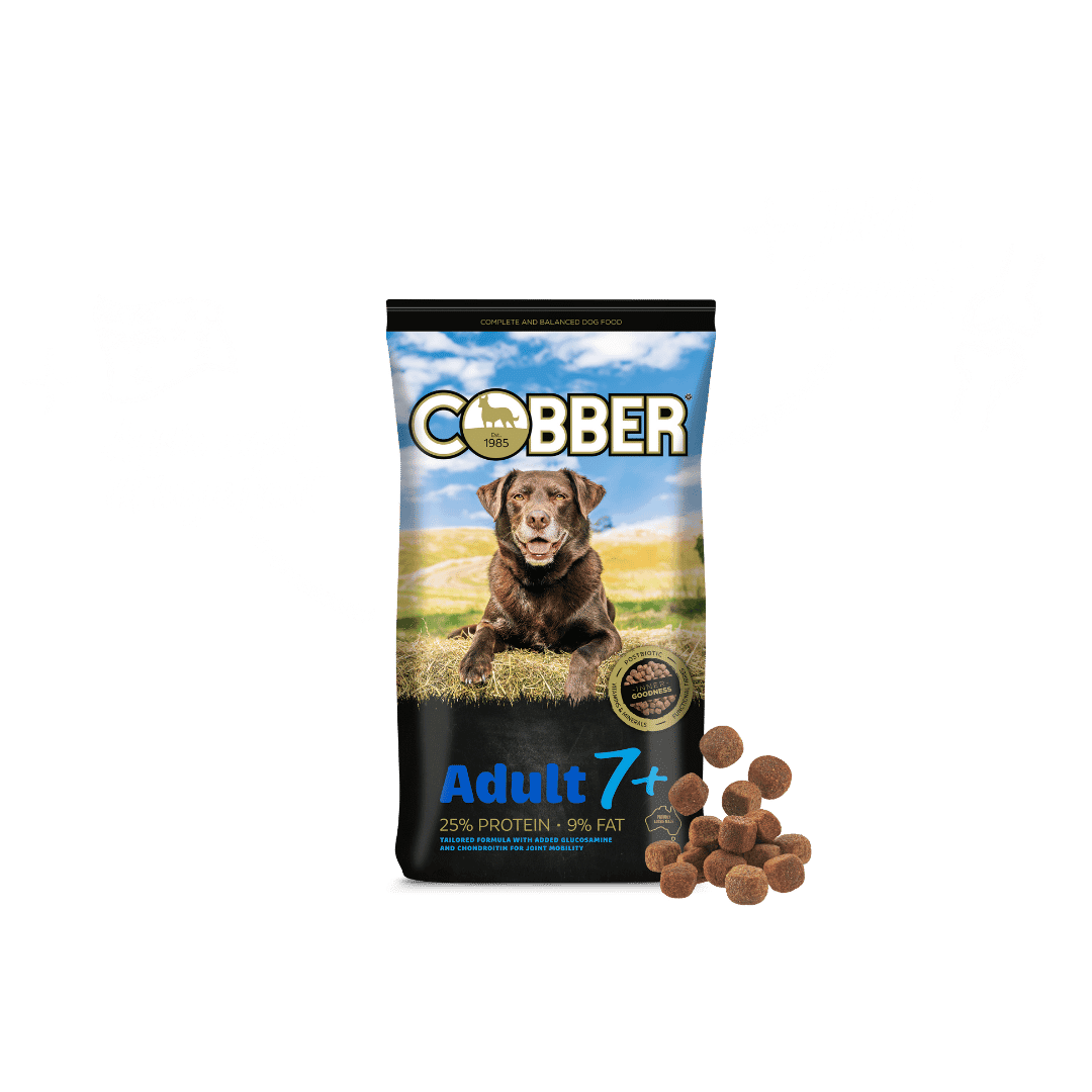 Cobber 8kg