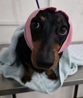 Bath and Dry