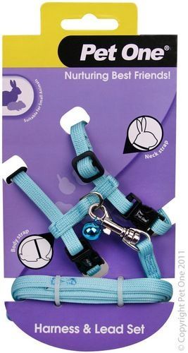 Leash &amp; Harness Rabbit, Guinea Pig, Ferret