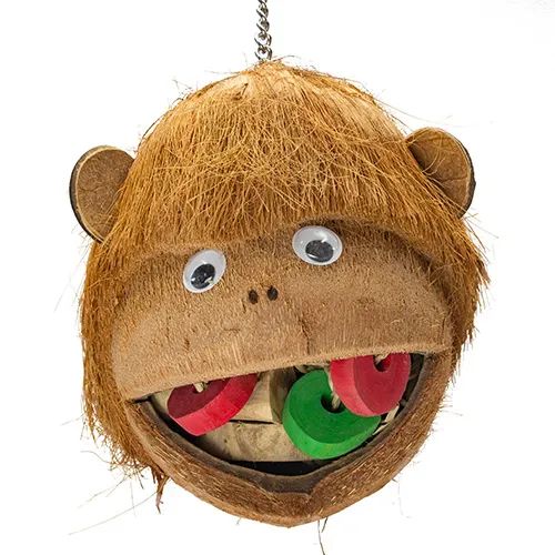 Natural Cheeky Monkey