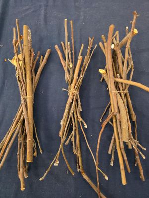 April&#39;s Apple Sticks