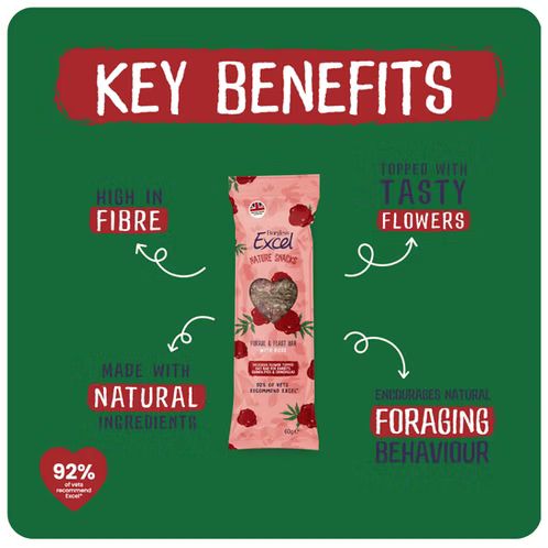 Forage &amp; Feast Bar 60gm