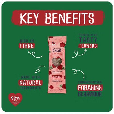 Forage &amp; Feast Bar 60gm