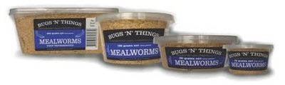 Mealworms