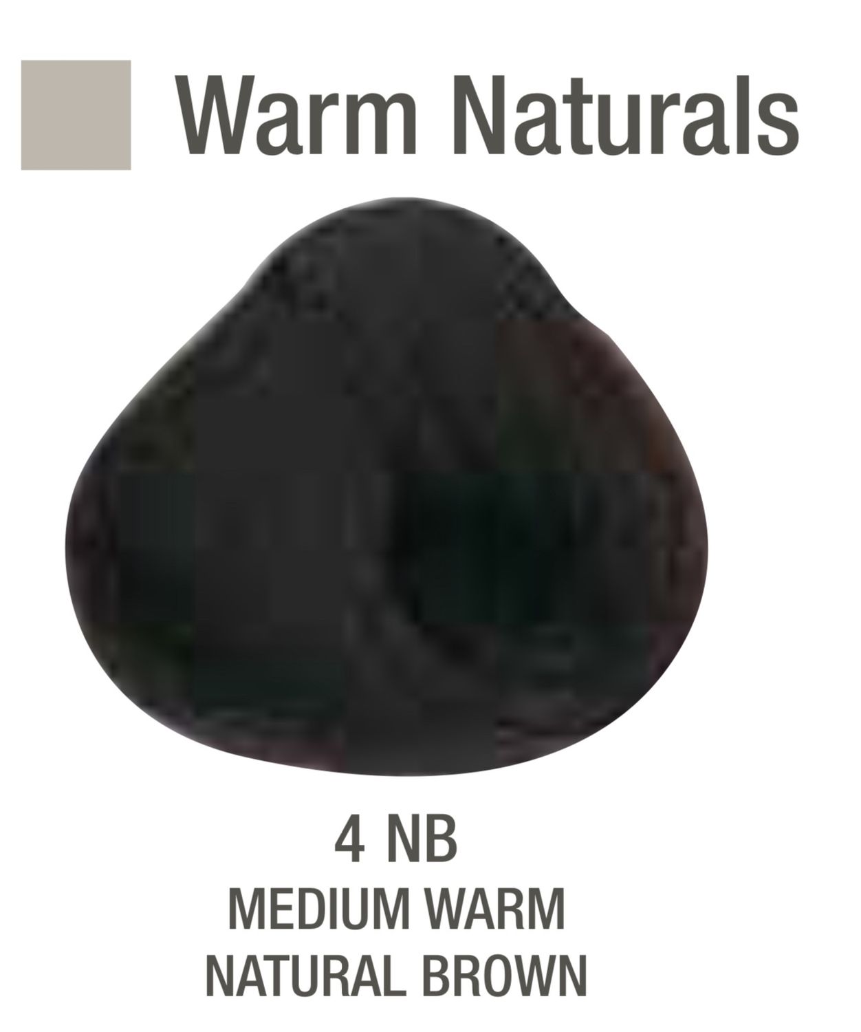 Alfaparf Evolution Color # 4NB Medium Warm Natural Brown