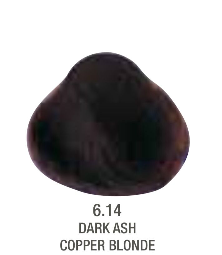 Alfaparf Evolution Color # 6.14 Dark Ash Copper Blonde