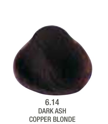 Alfaparf Evolution Color # 6.14 Dark Ash Copper Blonde
