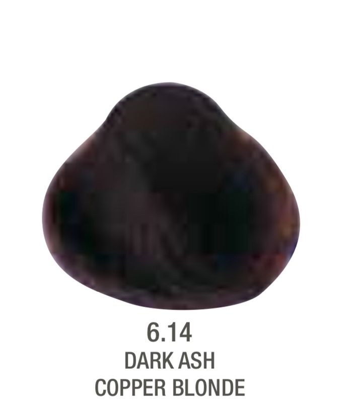 Alfaparf Evolution Color # 6.14 Dark Ash Copper Blonde