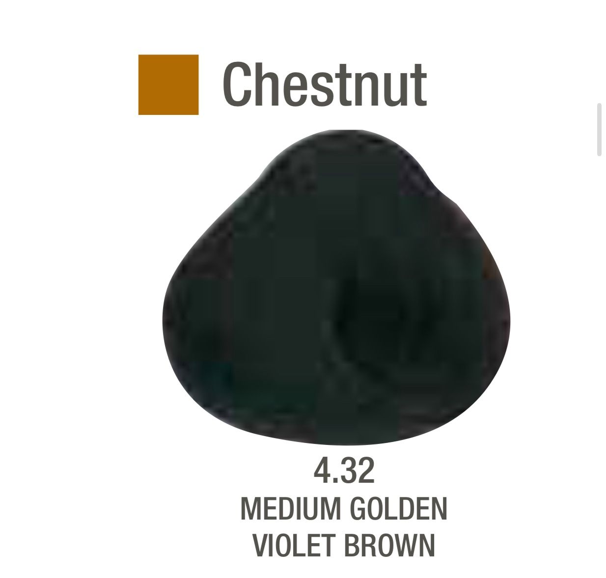 Alfaparf Evolution Color # 4.32 Medium Golden Violet Brown
