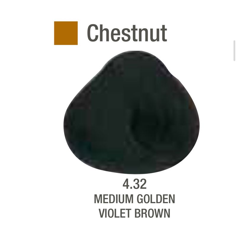 Alfaparf Evolution Color # 4.32 Medium Golden Violet Brown
