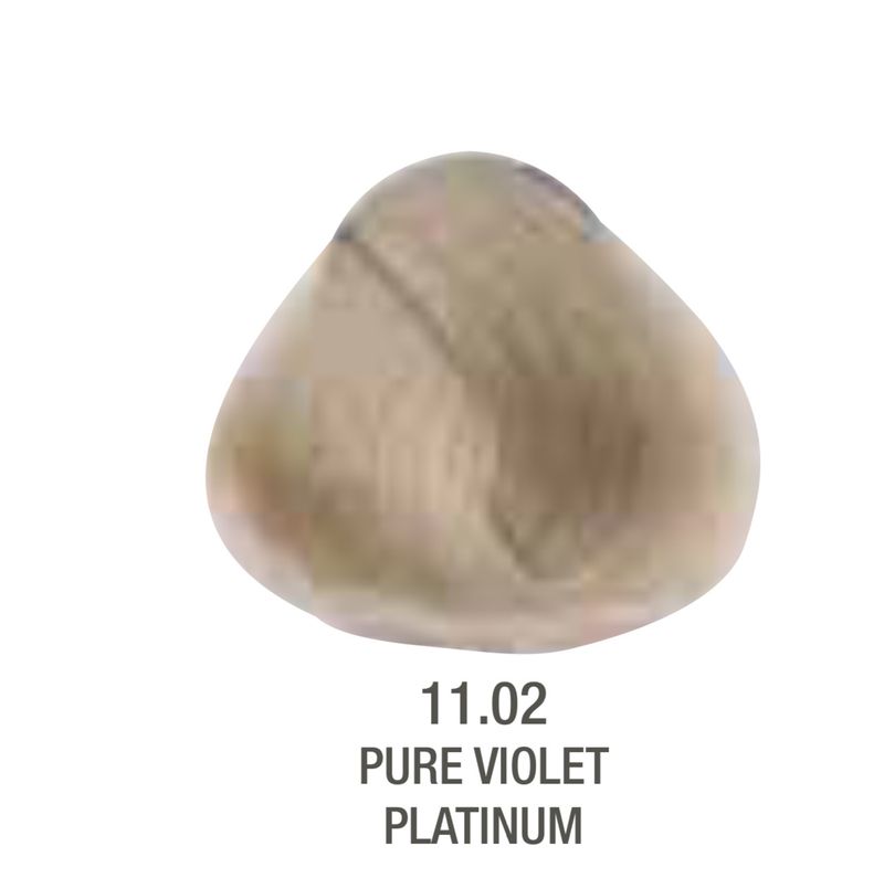 Alfaparf Evolution Color # 11.02 Pure Violet Platinum