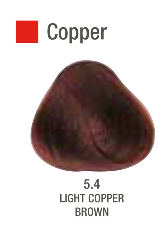 Alfaparf Evolution Color # 5.4 Light Copper Brown