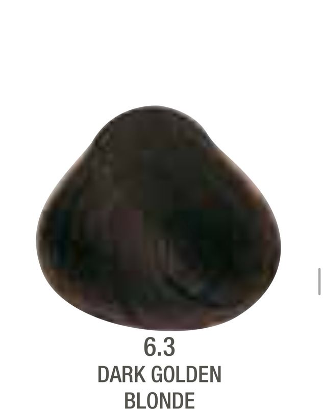 Alfaparf Evolution Color # 6.3 Dark Golden Blonde
