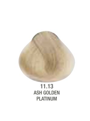 Alfaparf Evolution Color # 11.13 Ash Golden Platinum