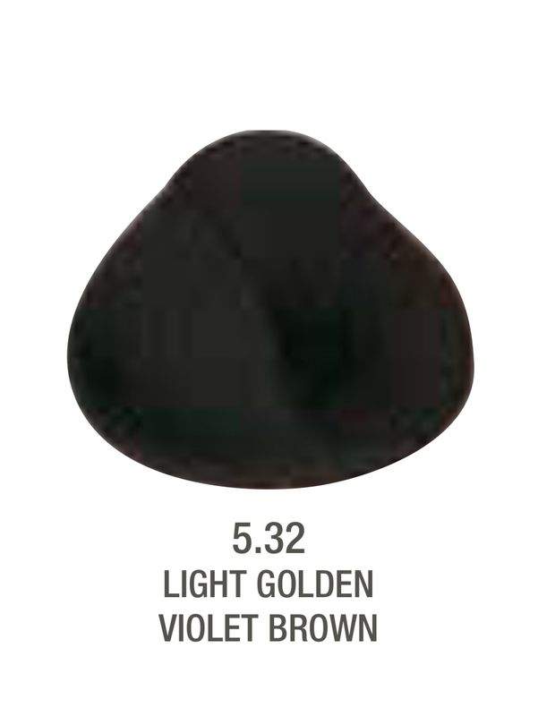 Alfaparf Evolution Color # 5.32 Light Golden Violet Brown